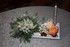 FLEURS , ANIMAUX  ET PLANTS DE