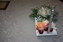 FLEURS , ANIMAUX  ET PLANTS DE