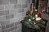 QUELQUES FLEURS pour décorati
