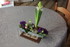 FLEURS pour anniversaire