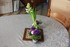 FLEURS pour anniversaire