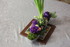 FLEURS pour anniversaire