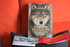 MON DERNIER LIVRE