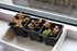 BOUTURAGE DEPLANTES GRASSES