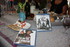 MES 70 ANS