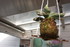 FLEURS ET DECO DE TABLE POUR N