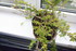 FLEURS ET DECO DE TABLE POUR N