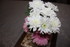 DES FLEURS QUE DES FLEURS