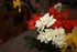 BOUQUET DE FLEURS COUPEES DU J