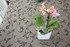 BOUQUET DE FLEURS COUPEES DU J