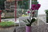 BOUQUET DE FLEURS COUPEES DU J