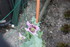 FLEURS DE jardin