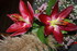 ART FLORALE DE MON EPOUSE