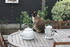 NOTRE CHATTE 