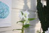 UNE ORCHIDEE EN FLEUR