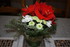 UNE ORCHIDEE EN FLEUR