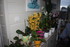 DE NOUVELLES ORCHIDEES