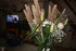 JOLIS BOUQUETS DE FLEURS