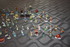 COLLECTIONS DE FEVES