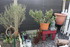 UN PETIT TOUR AU JARDIN