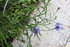 COIN POUR INSECTES