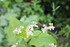COIN POUR INSECTES