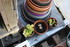LES SUCCULENTES A L' ABRI DANS