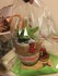 MARCHE DE NOEL