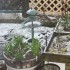 NEIGE EN MORBIHAN