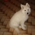 HERMINE NOTRE FUTURE GARDIENNE