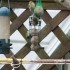 PETITS OISEAUX