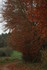 COULEURS NATURE