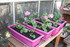PLANTATIONS DANS LA SERRE