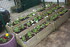 DES NOUVELLES PLANTATIONS POUR L'HIVER