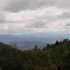 Lamington National Park