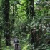 Dorrigo National Park, Nambucc