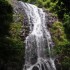 Dorrigo National Park, Nambucc