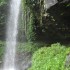 Dorrigo National Park, Nambucc