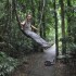 Dorrigo National Park, Nambucc