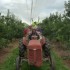 Picking de pommes à Orange