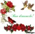 Alors Vite Oust !!!!