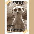 les présentations du suricate