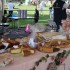 La virade d'Albertville