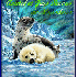 Cadeaux reçus le 01/10/2008..