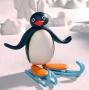 Un article spécial Pingu