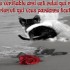 L'amitié