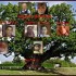 Arbre généalogique!!!!!!