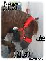 *****{Horizon}*****