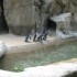 Zoo 18-08-09