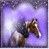 chevaux noir et marron
